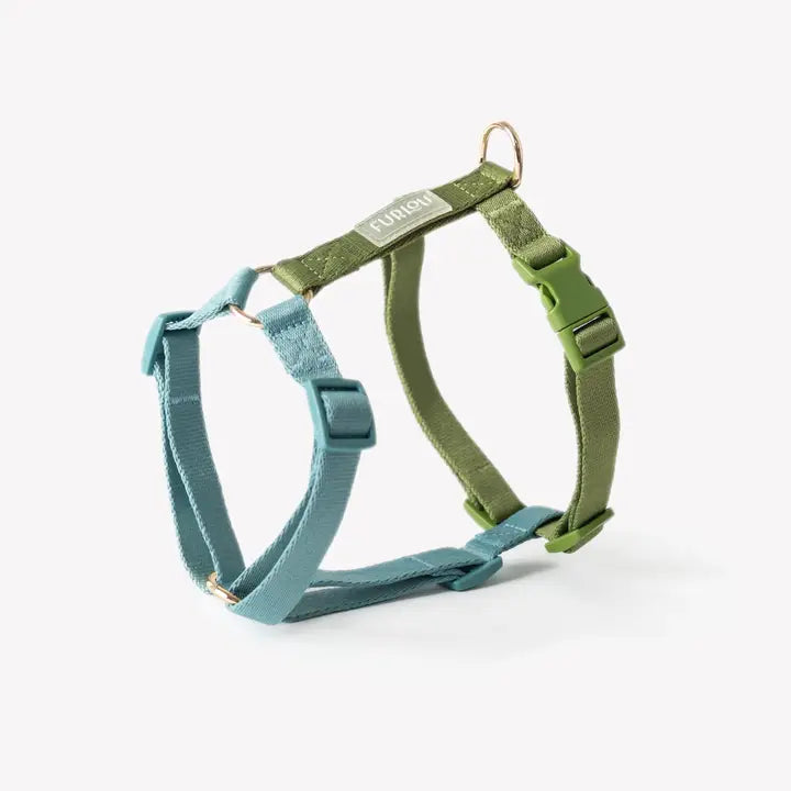 Harnais Blue & Green