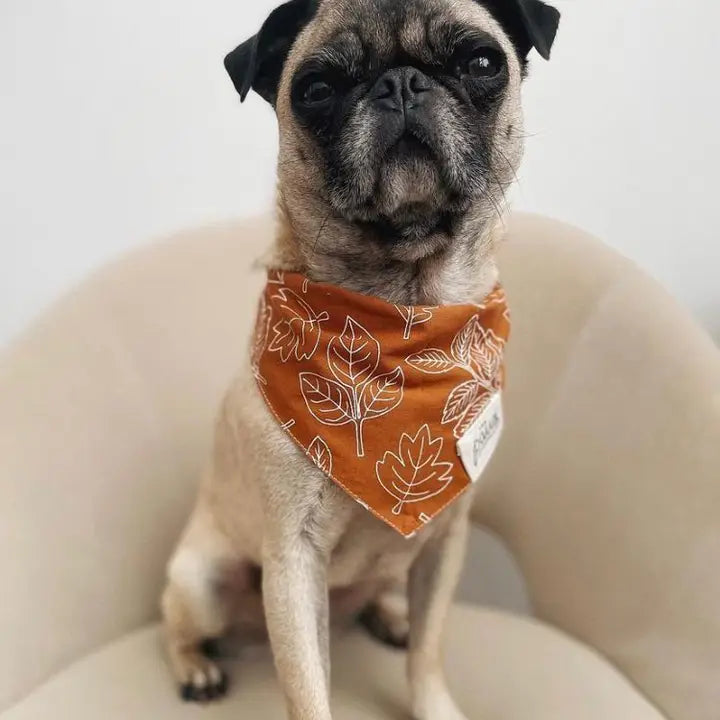 Bandana North Fall