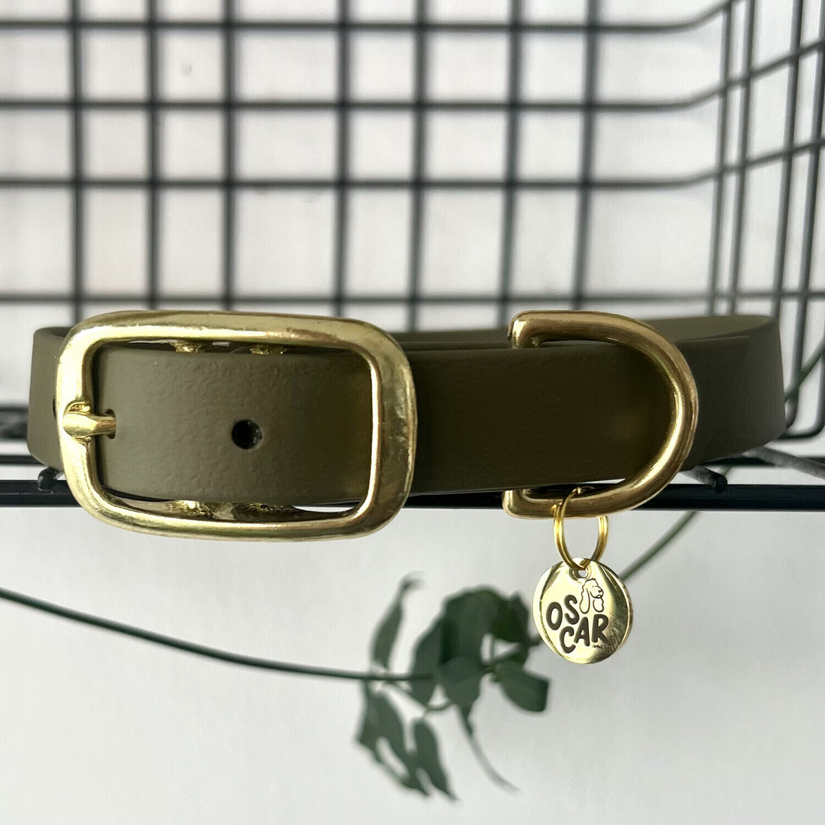Collier Biothane® Kaki