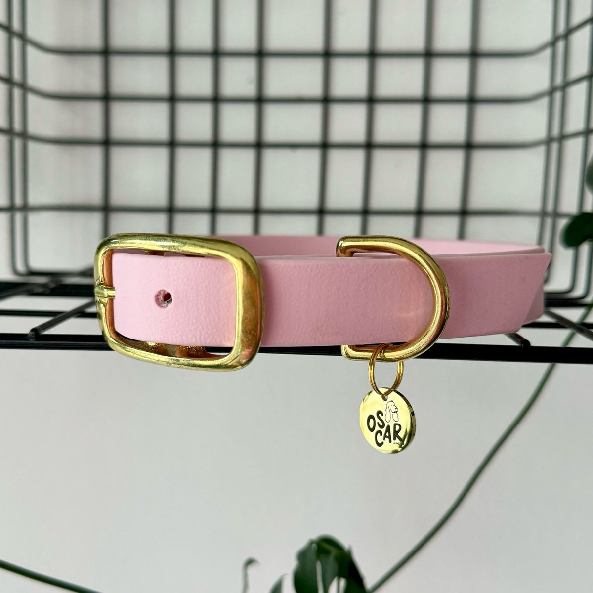 Collier Biothane® Baby Rose