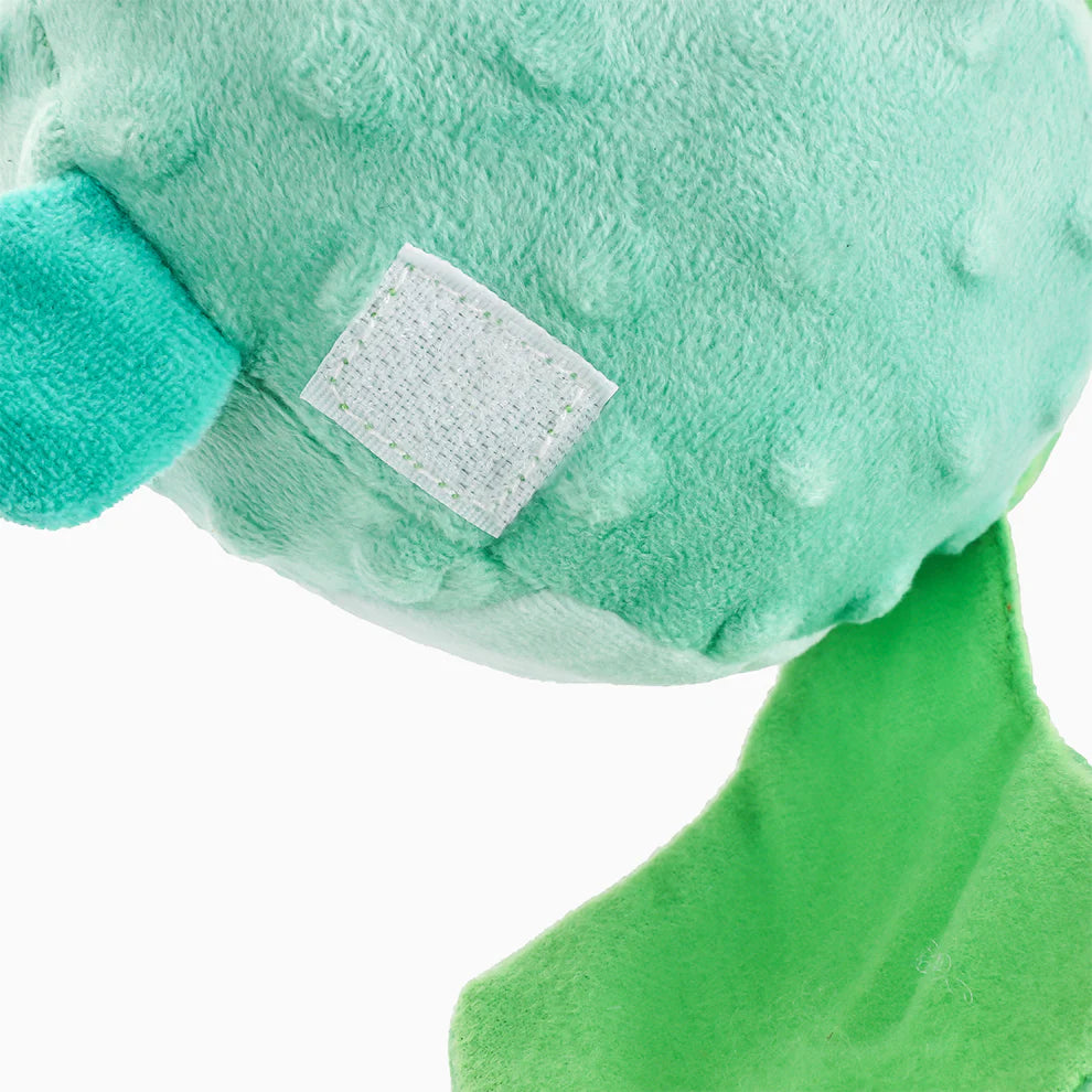Le Poisson Ballon
