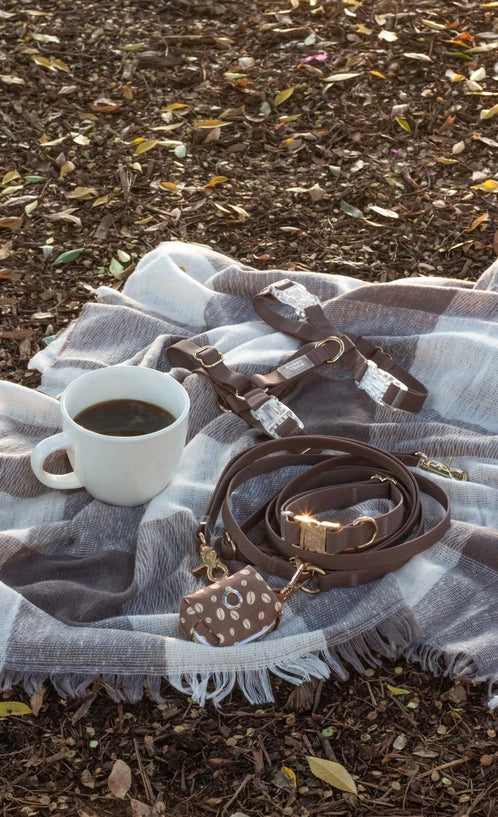 Laisse Mains Libres ajustable - Expresso