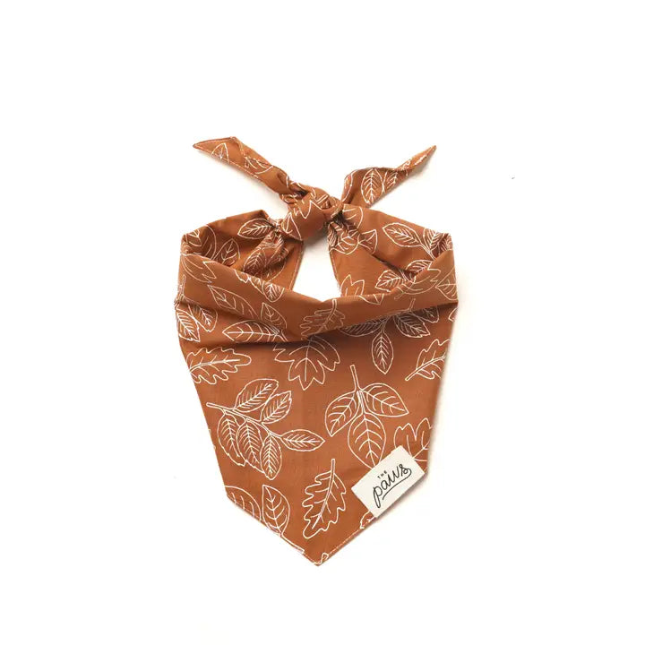 Bandana North Fall