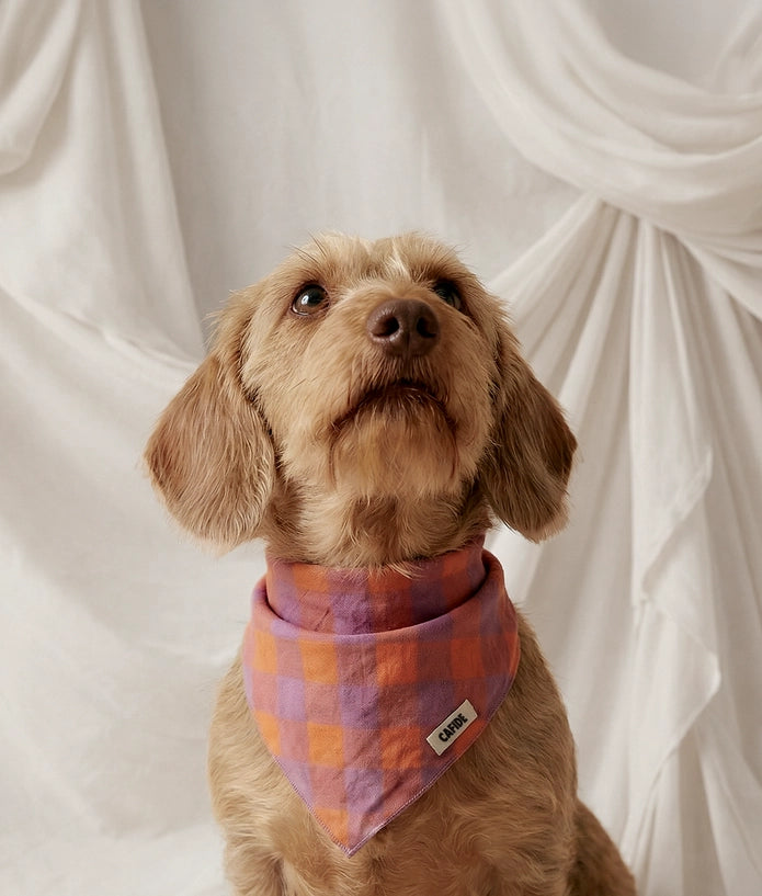 Bandana à carreaux - Rose & Lila