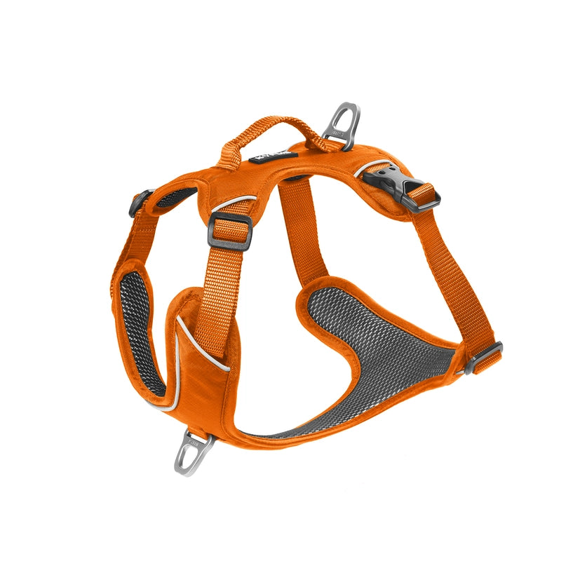 Harnais Momentum - Orange