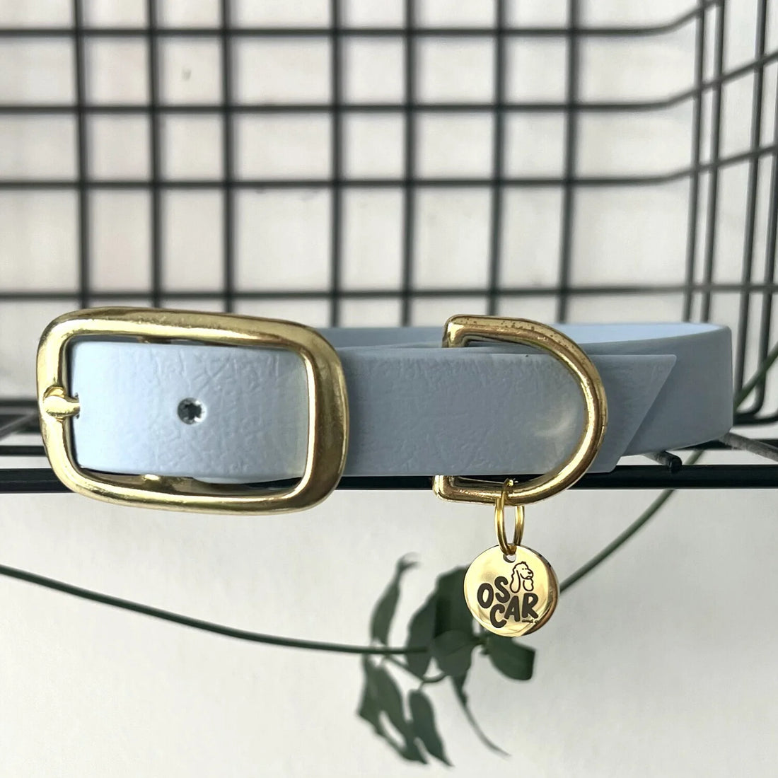 Collier Biothane® Bleu Pastel