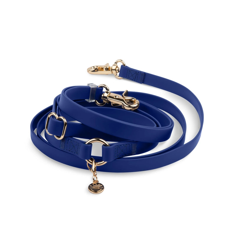 Laisse Mains Libres ajustable - Navy