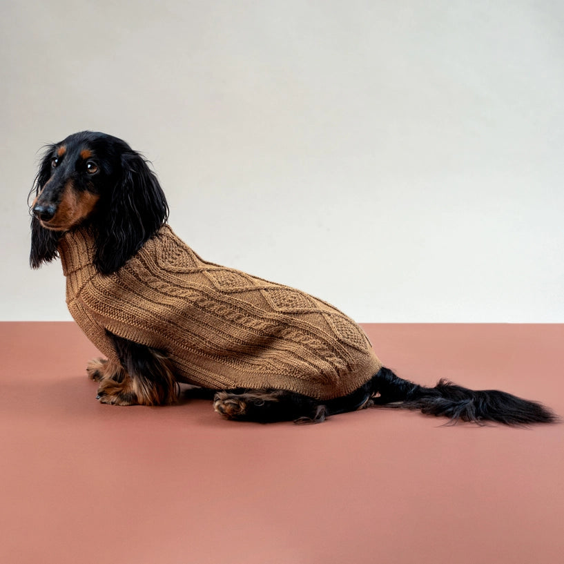 Pull en alpaga - Aran Camel