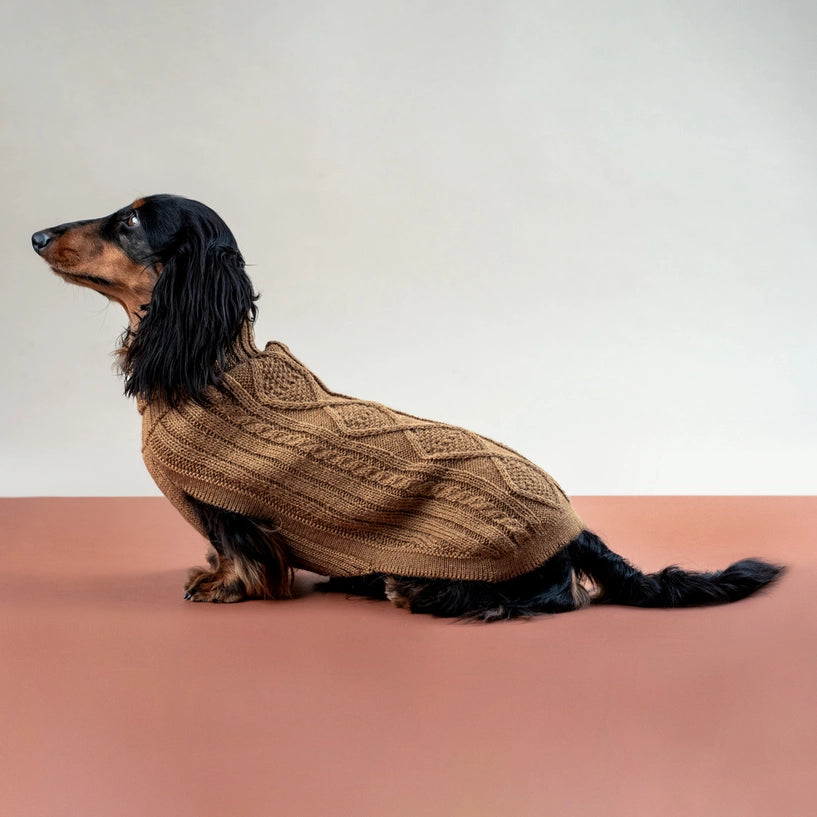 Pull en alpaga - Aran Camel