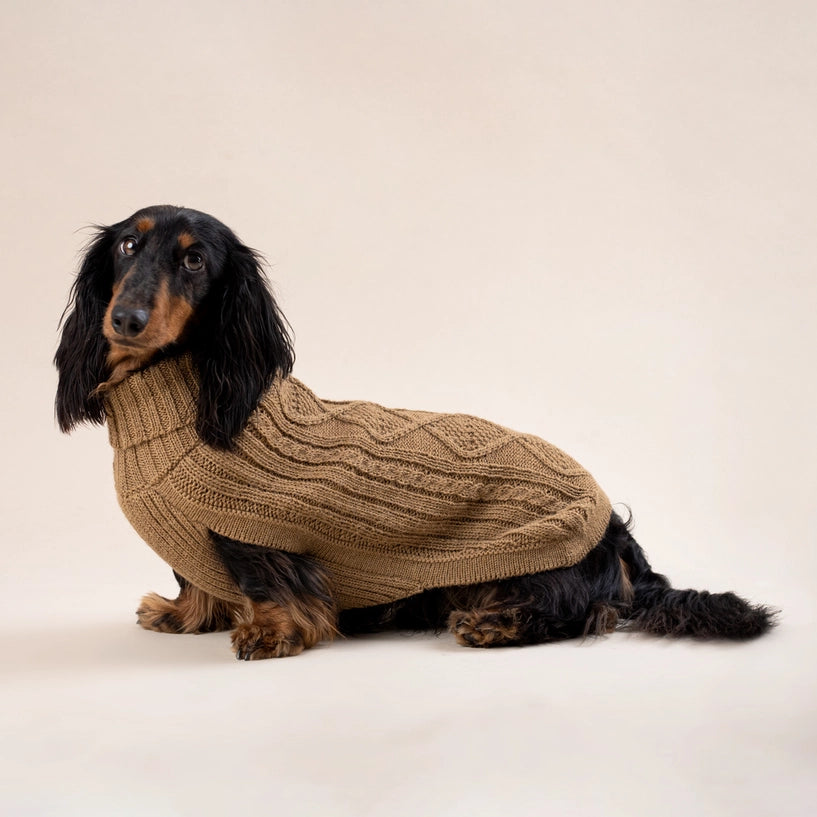 Pull en alpaga - Aran Camel