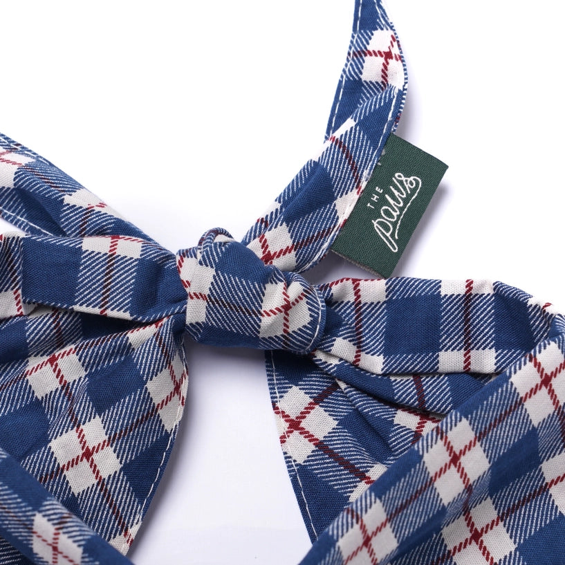 Bandana Winter