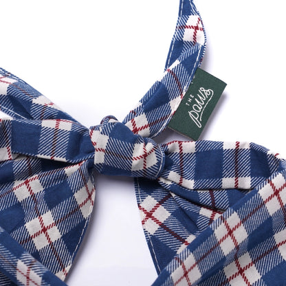 Bandana Winter