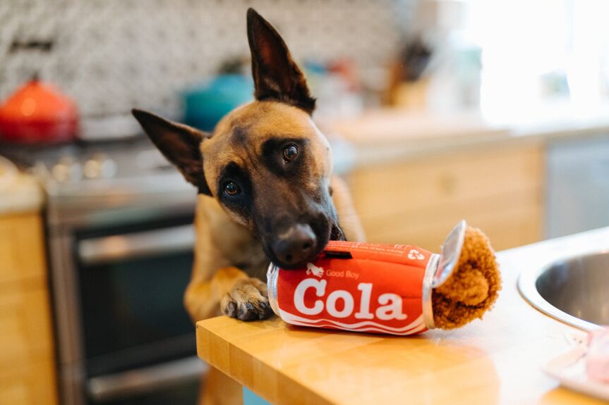 La bouteille de Cola