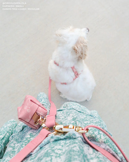 Laisse Mains Libres ajustable - Rose