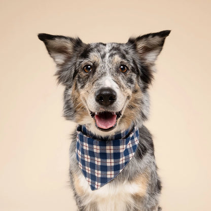 Bandana Winter