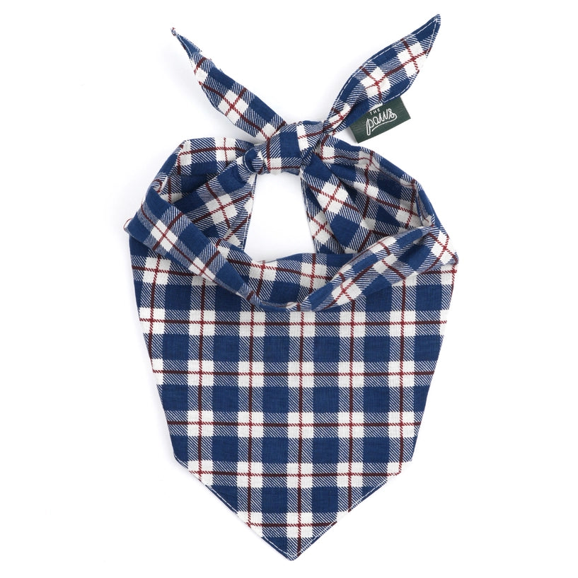Bandana Winter