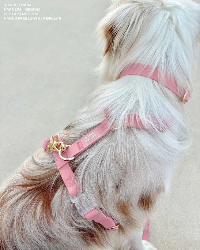 Harnais imperméable Rose