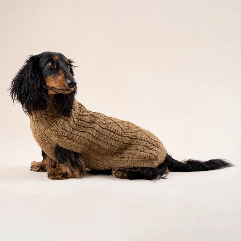 Pull en alpaga - Aran Camel