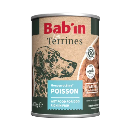 Terrine Poisson