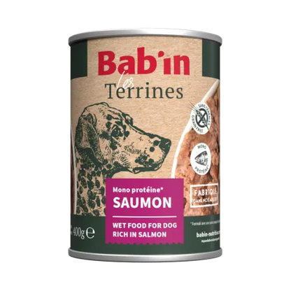 Terrine Saumon