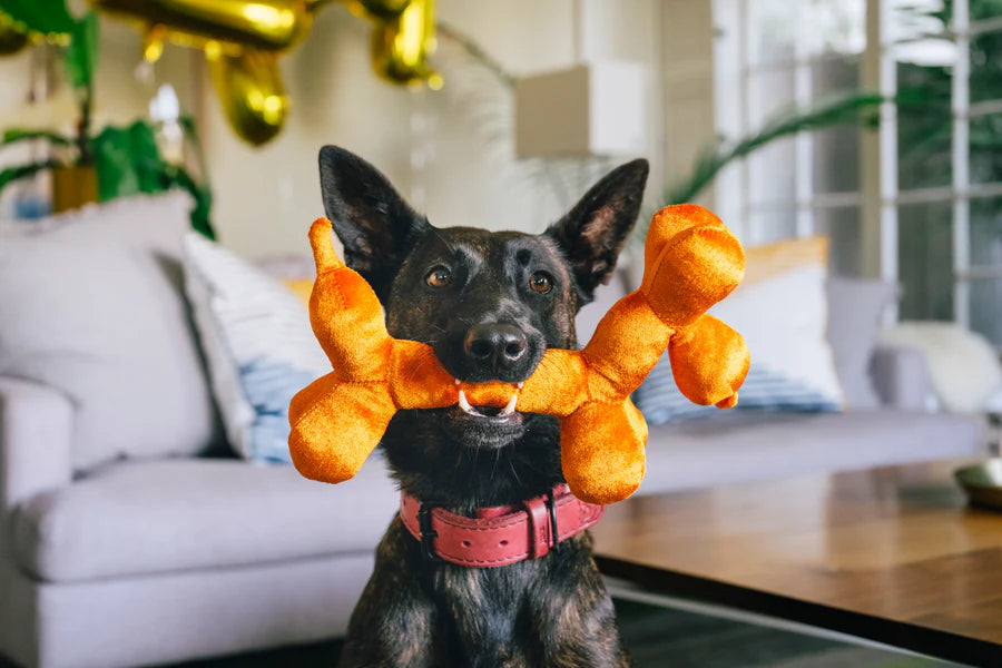 Balloon Buddy