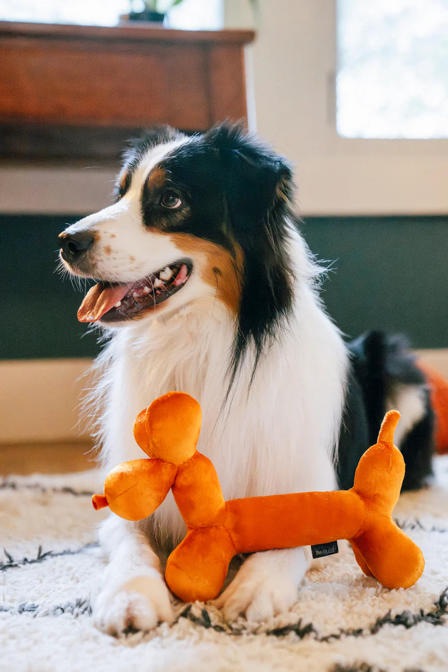 Balloon Buddy