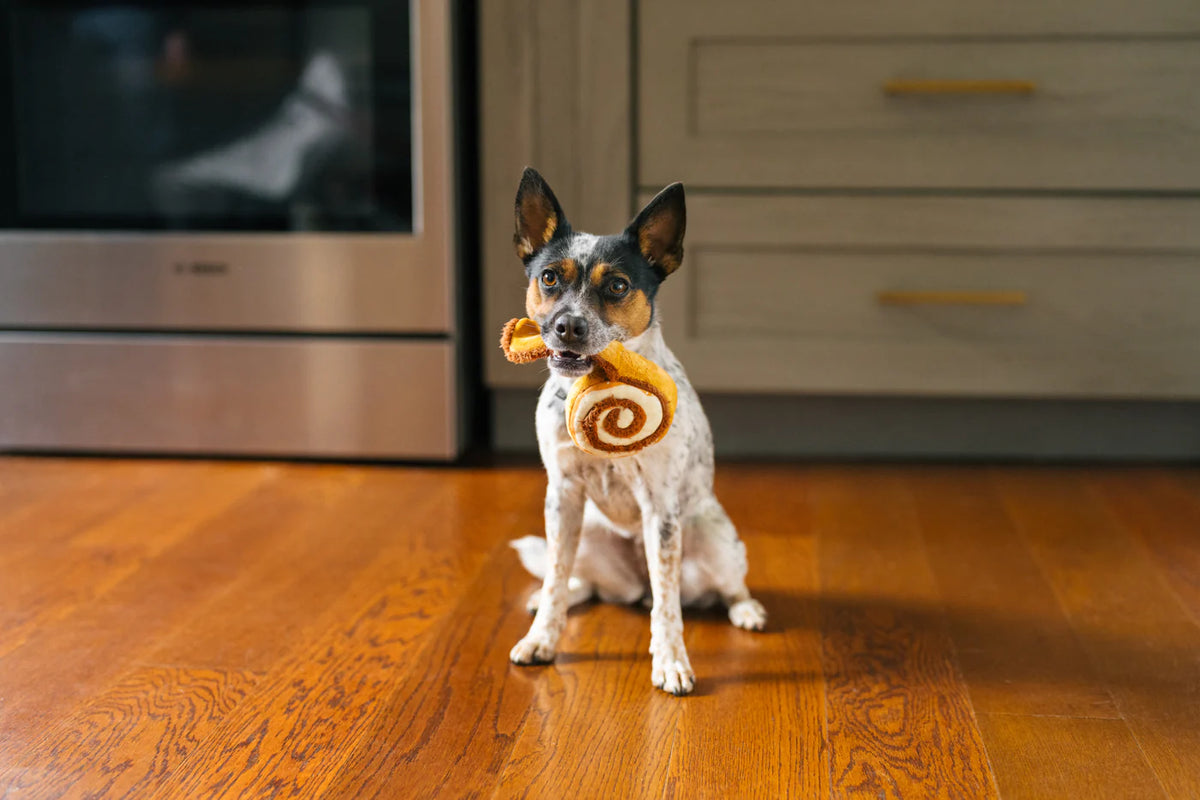 Cinnamon Roll